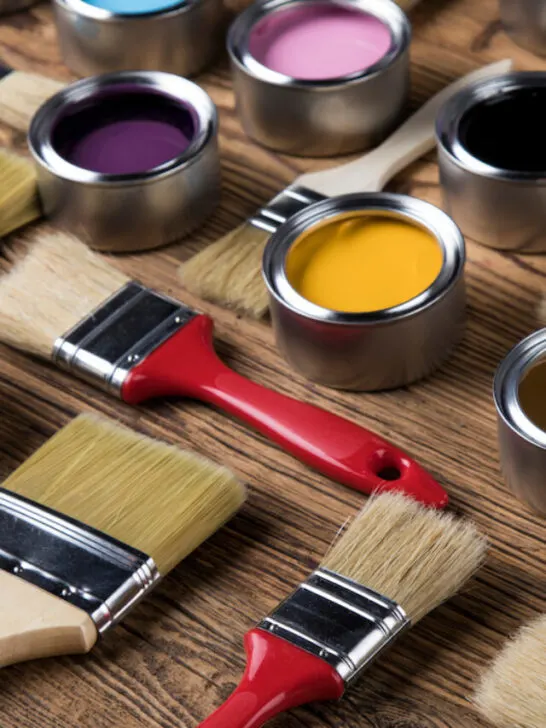 paints and paint brushes