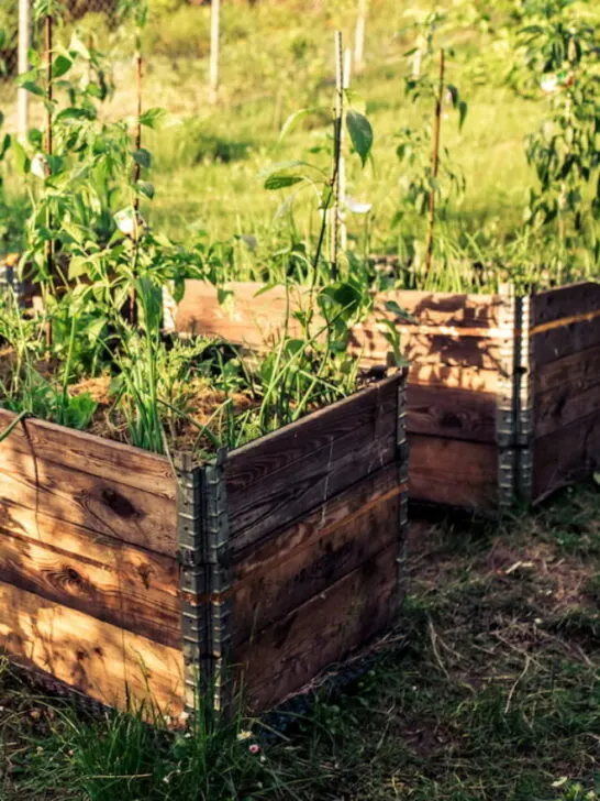 raised beds with metal support