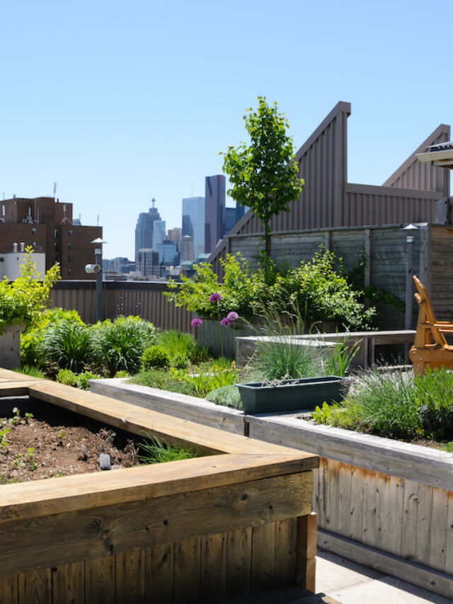 Gardening on Hard Surfaces: Are Raised Garden Beds on Concrete an Option?