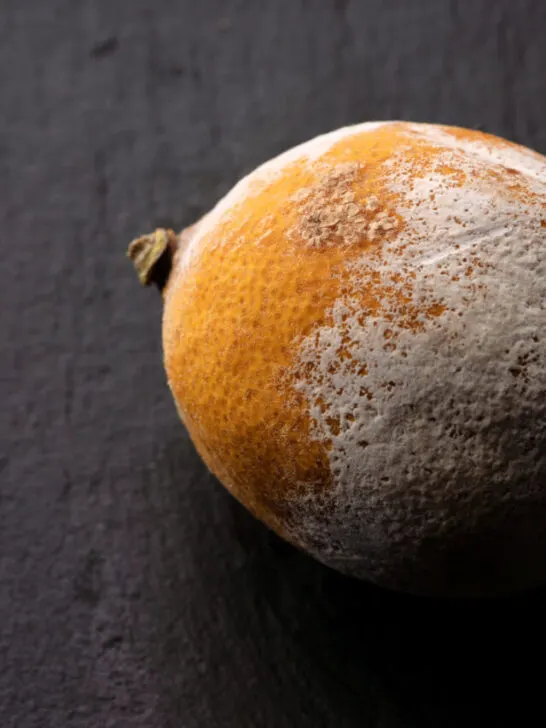 rotting lemon on a black surface