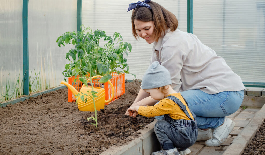 Cute toddler helps mom in planting vegetables in greenhouse