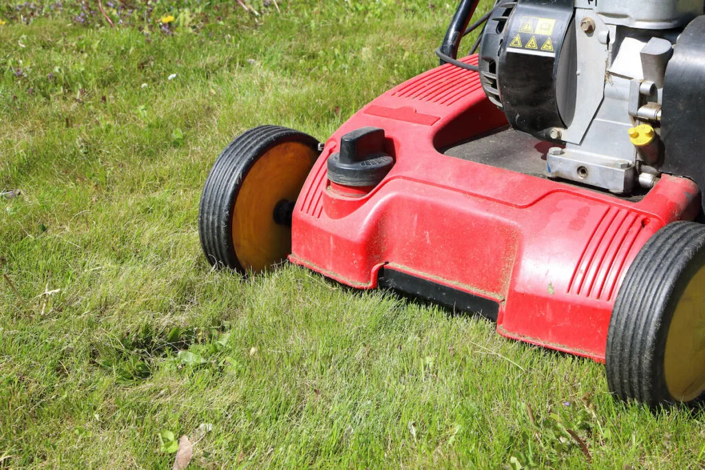 Red Detail of dethatcher, also known as lawn scarifier