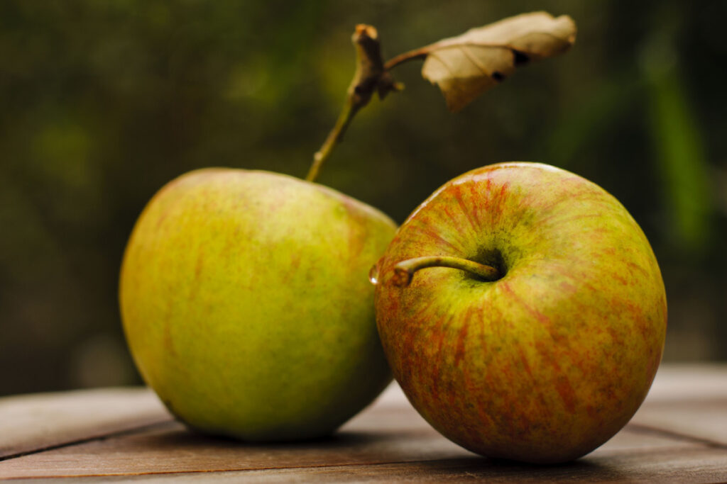 Two Jonagold apples on a teakwood table with greenish background of the garden 