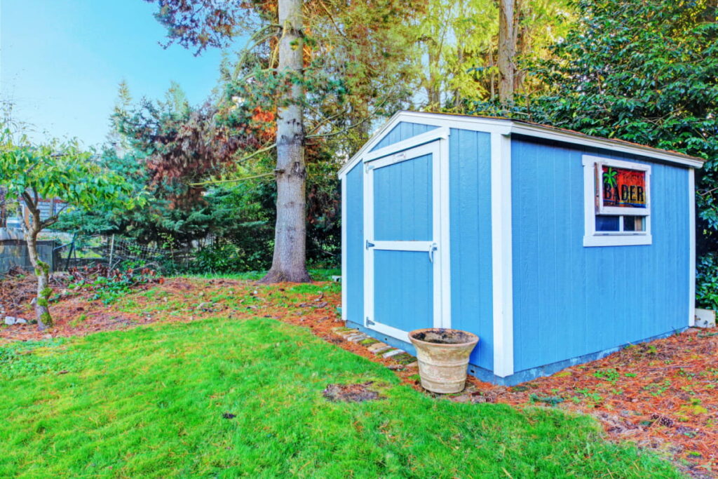 blue painted shed in the backyard 