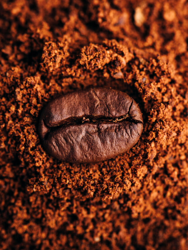7 Fun Facts About Using Coffee Grounds in the Garden