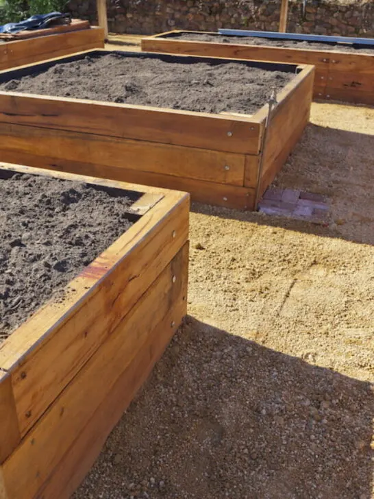 empty raised garden beds
