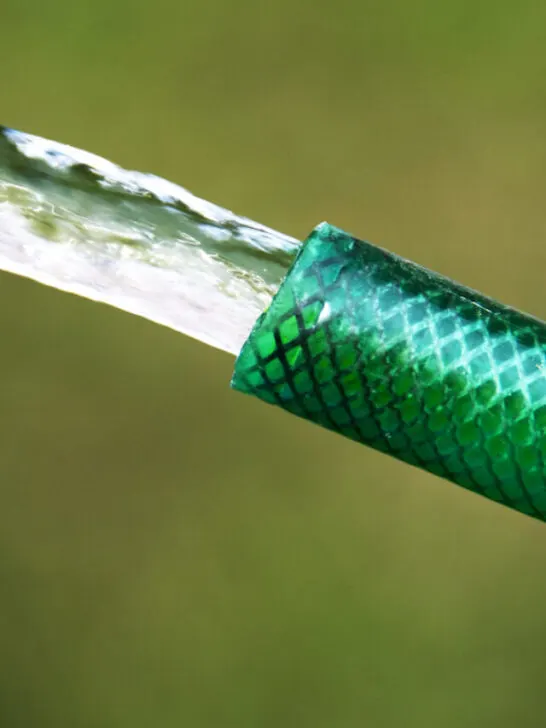 green garden hose spewing water