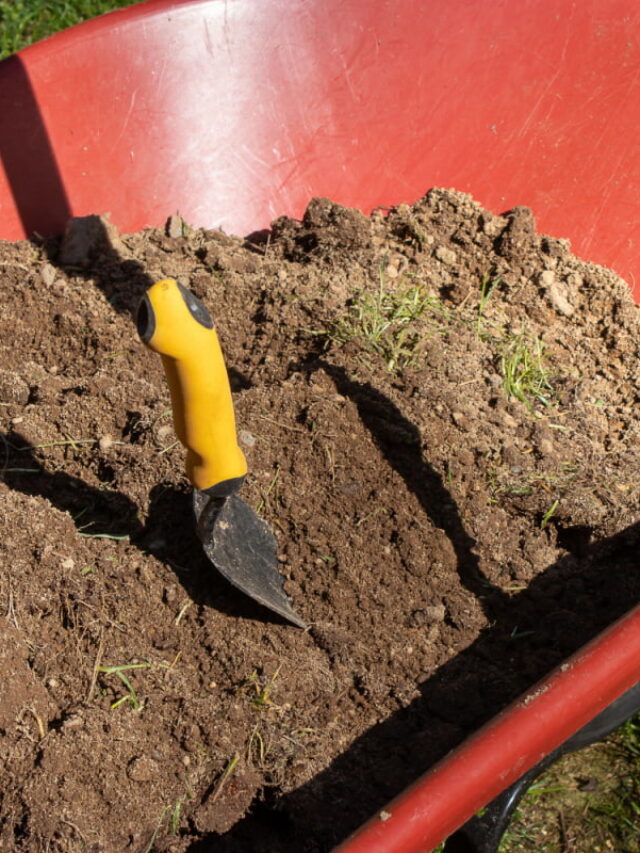 What is fill dirt and how do you use it?