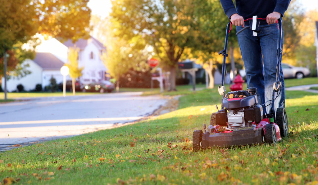 person using a lawn mower during autumn