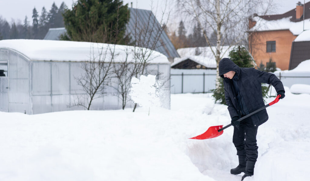 Adult man in black winter clothes shoveling snow in the garden from a sidewalk 