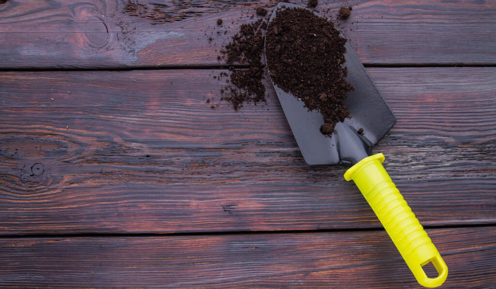 Black steel Trowel shovel with yellow handle, with soil on dark wooden background