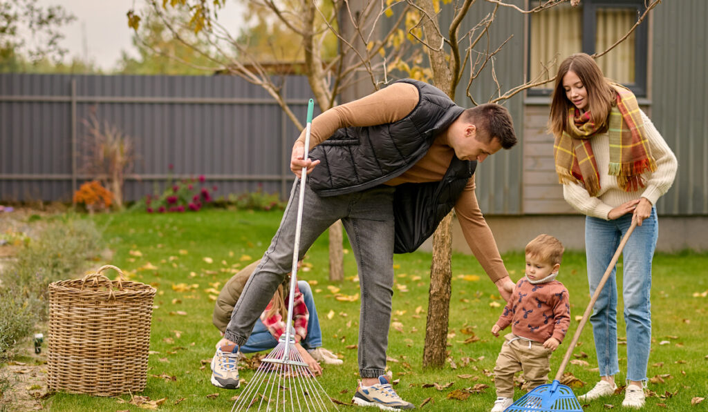Family with rake cleaning leaves in garden
