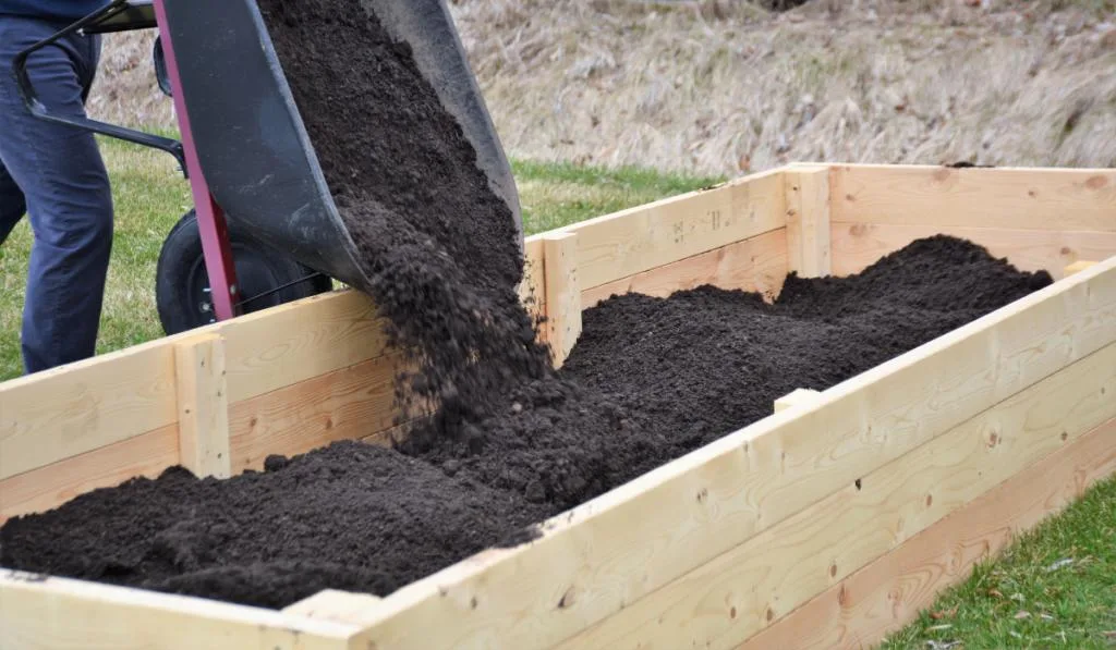 Filling a newly constructed backyard garden box with soil.
