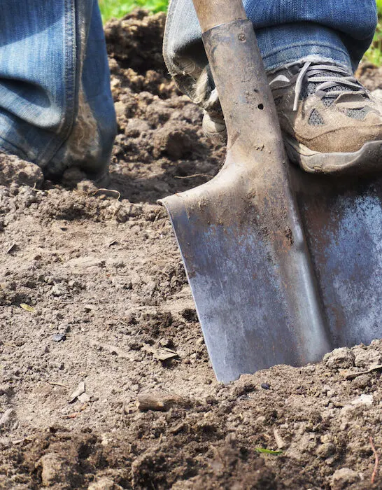 man digging the ground in the backyard using an old shovel