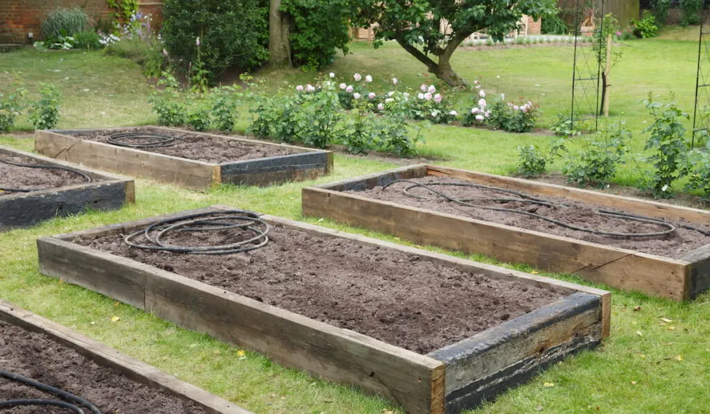 Newly built raised beds