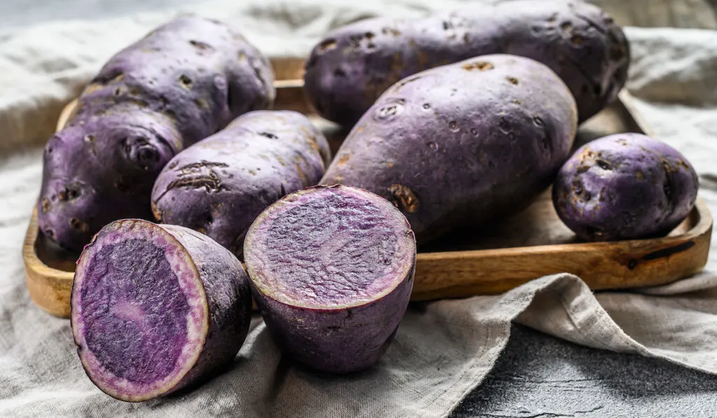 raw purple potatoes on a wooden tray on dark background