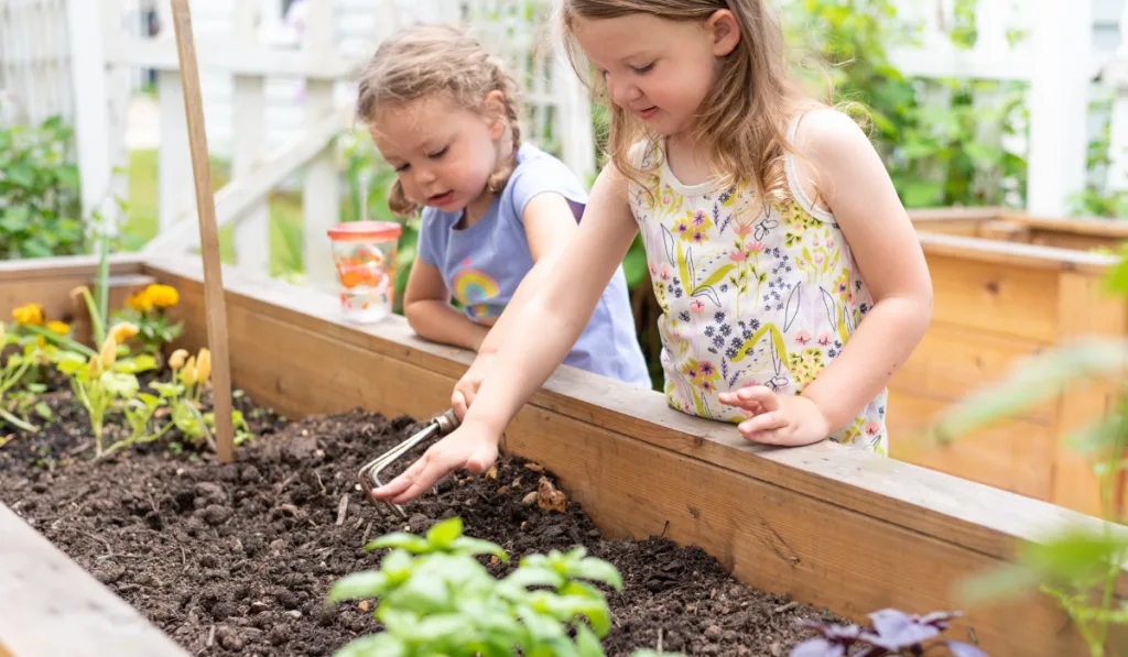 Two happy little girls digging in a raised bed garden
