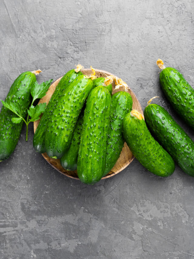Do Cucumbers Grow Vertically?