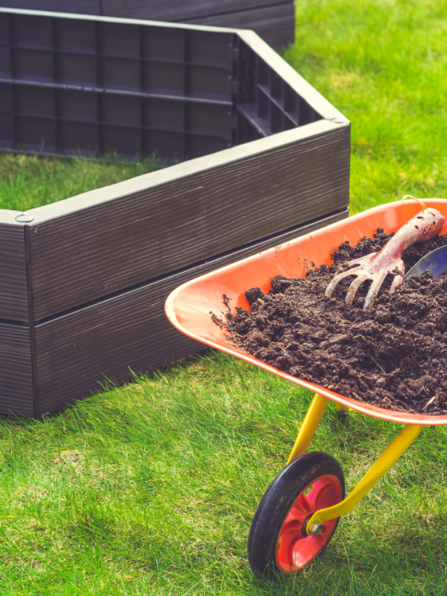 11 Ways To Fill A Raised Garden Bed