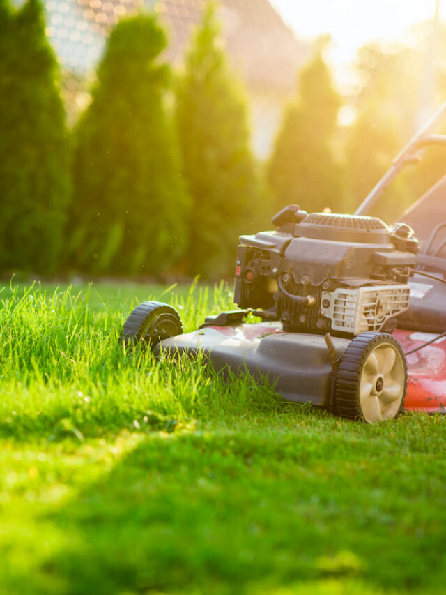 7 Types of Lawnmowers (with Prices)