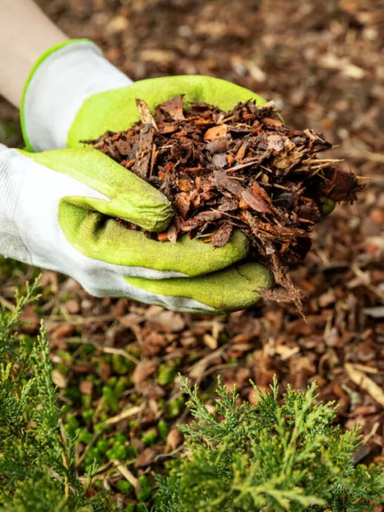 mulch on hand