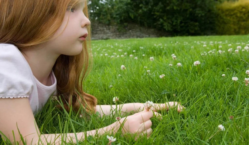 Close up of a little girl laying in grass holding a red clover flower
