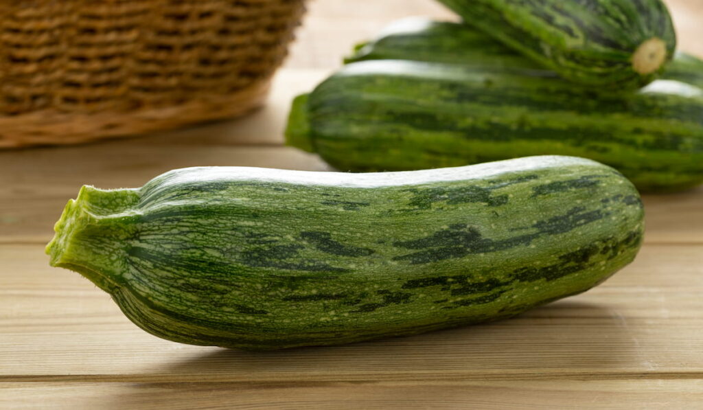 Fresh green spotted courgette 