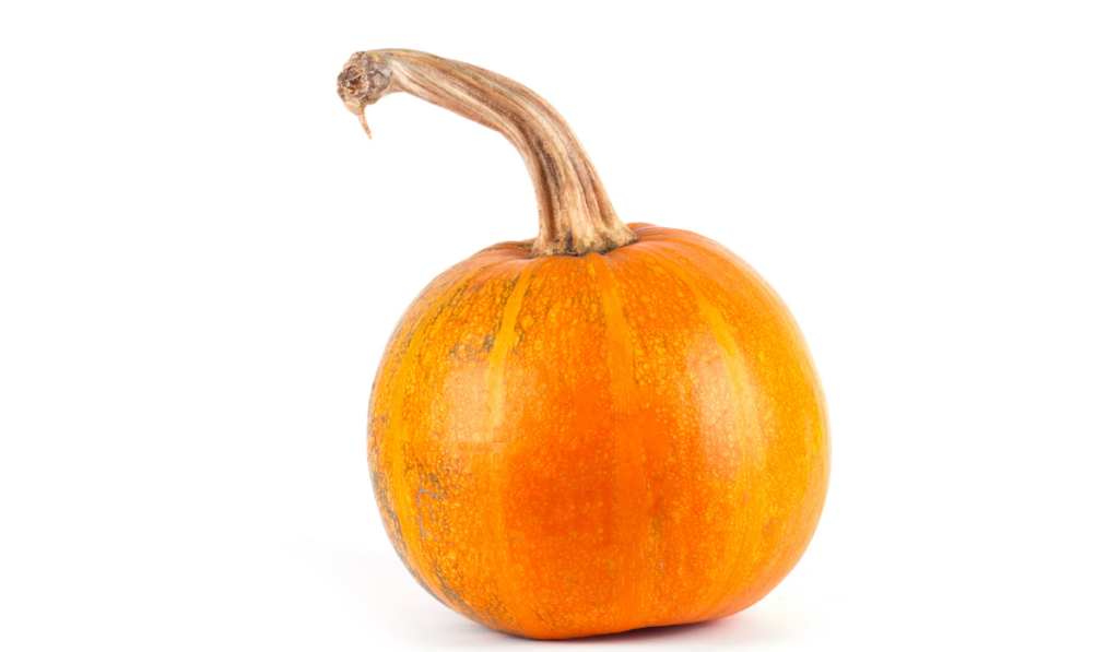 Pumpkin isolated on white background
