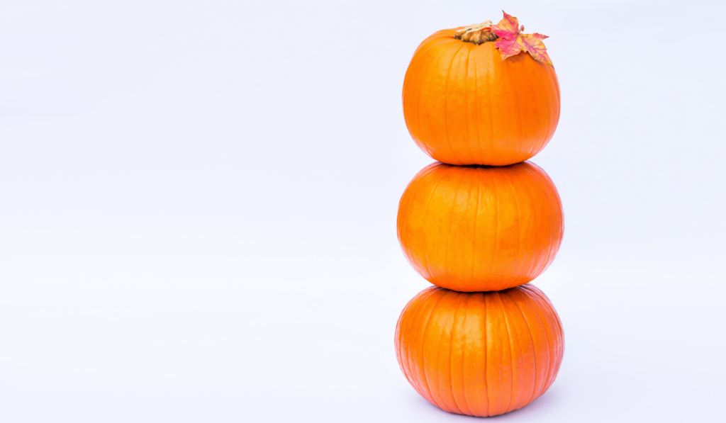 Tower of Three stacked mini pumpkins 
