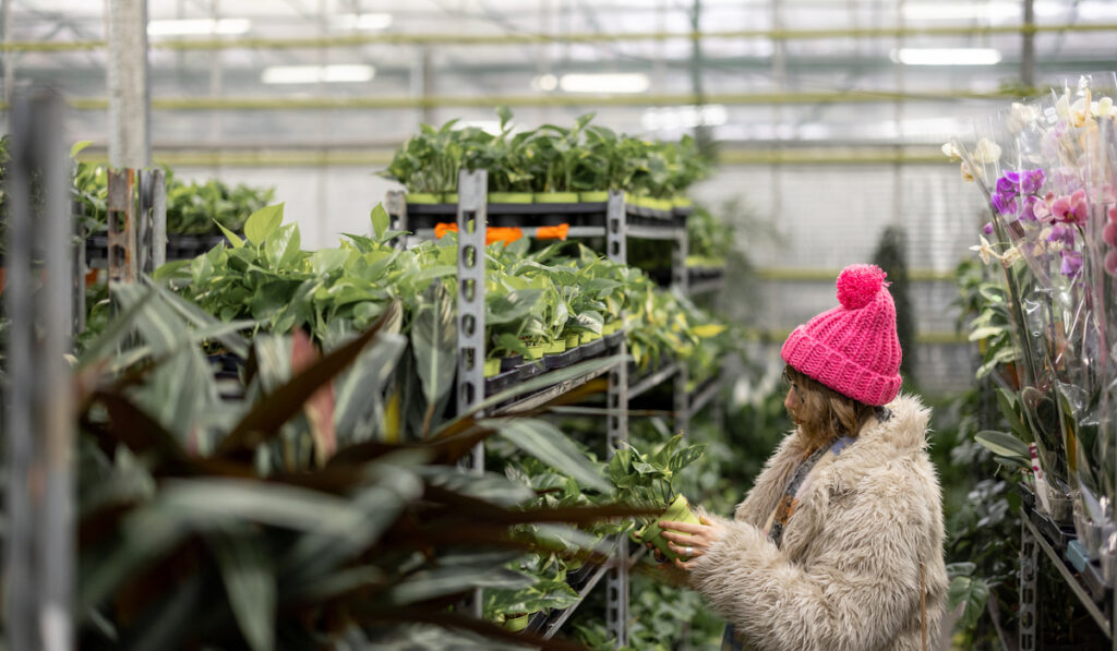 Woman shopping at plant shop on winter
