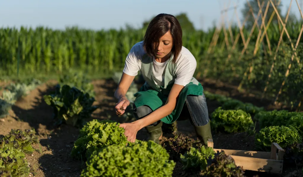 Woman working in her vegetable garden
