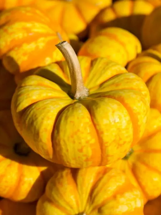 Blaze pumpkin