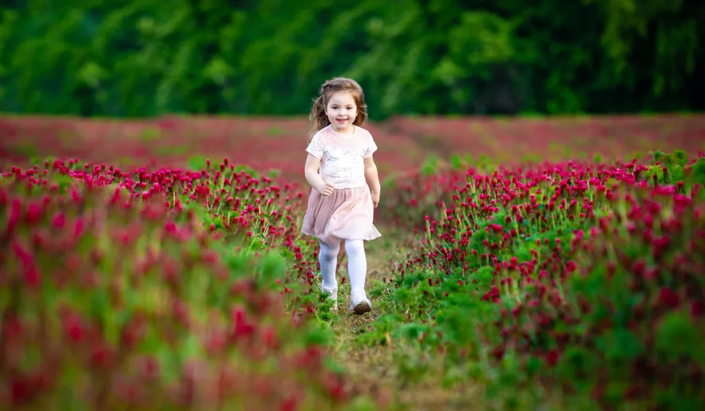 Beautiful smiling little girl while walking in the field of red clover flowers

