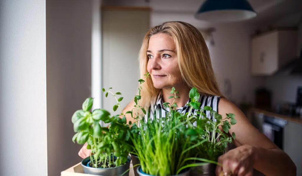 woman indoors at home, carrying box with different potted herbs