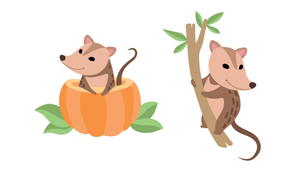 Cute Opossum Animal Sitting on Tree and Peeping Out from Pumpkin Vector Set
