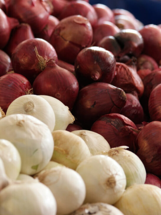 a pile of red and white onion