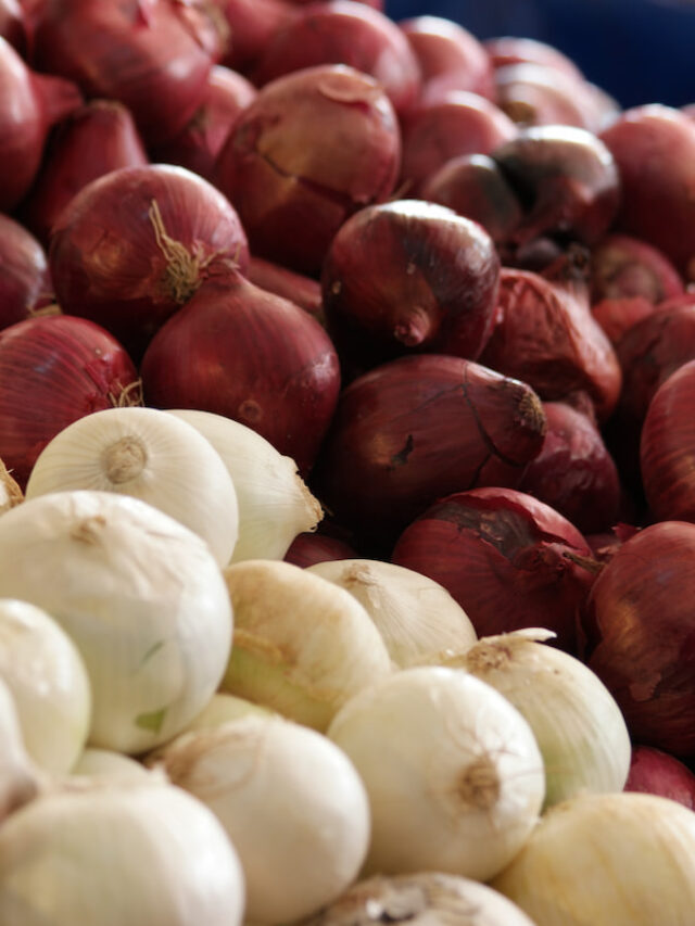 White vs. Red Onions: What’s the Difference?