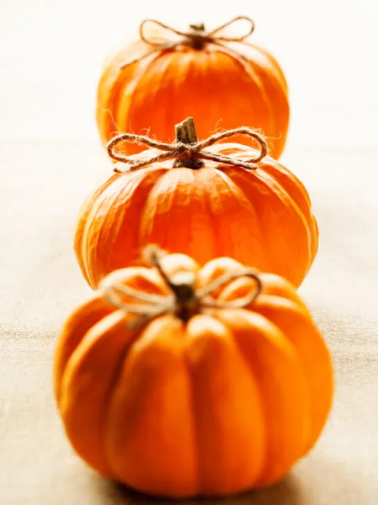 pumpkins on rustic background - ee230723
