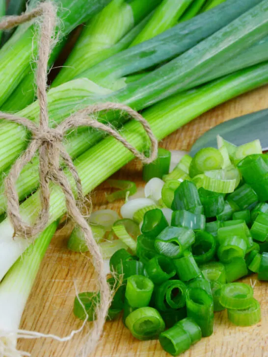 spring onion tied with a brown knot