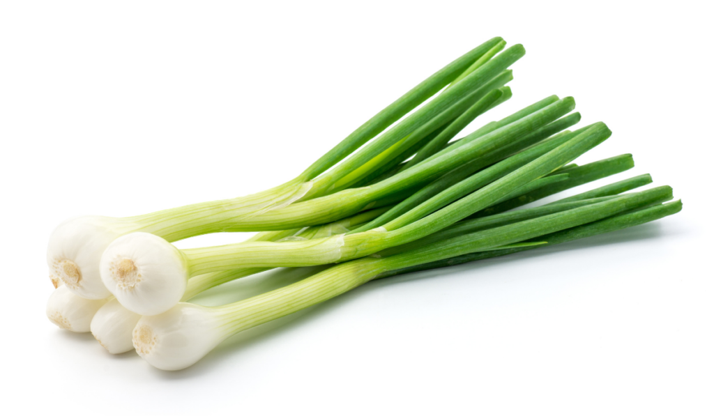 Green onion isolated on the white background
