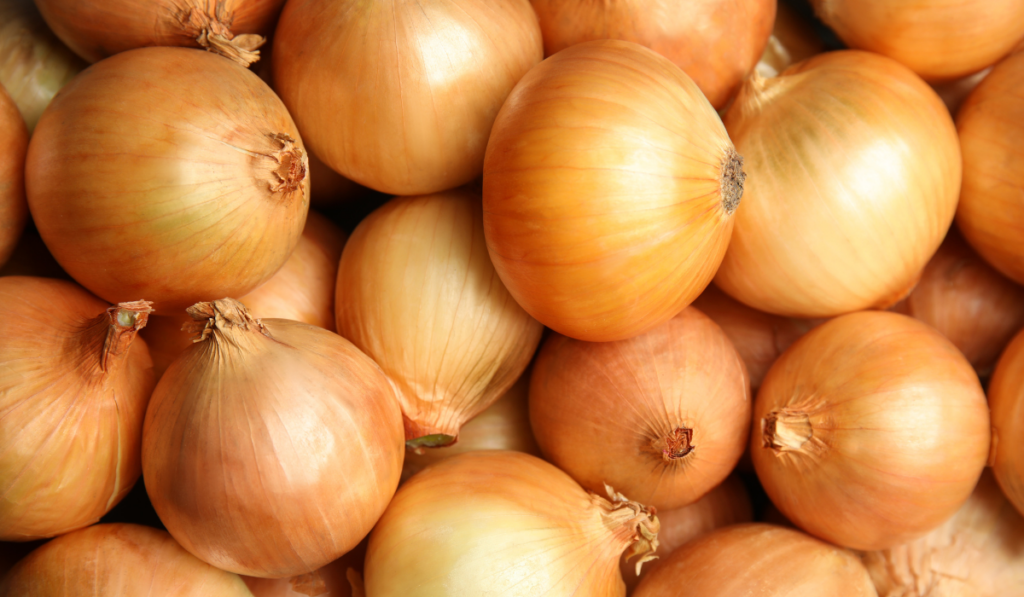 Ripe onion bulbs as background, top view
