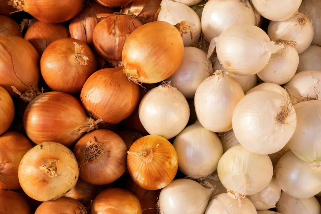 white and brown onions in one container 
