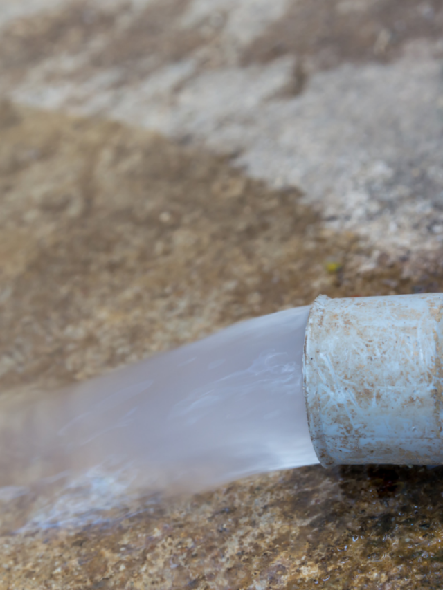 Is Greywater Good for Plants?