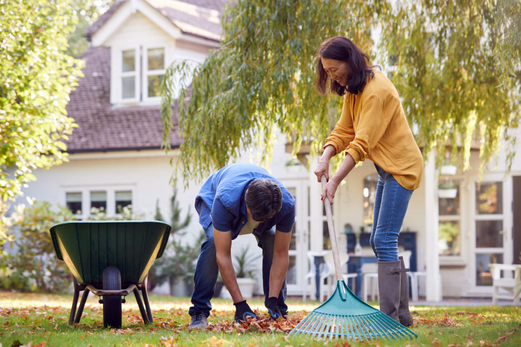 Mature asian couple working in garden at home raking and tidying leaves into barrow