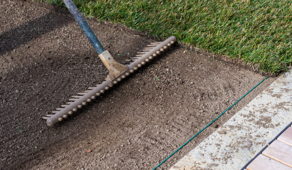 Preparing the soil with a rake