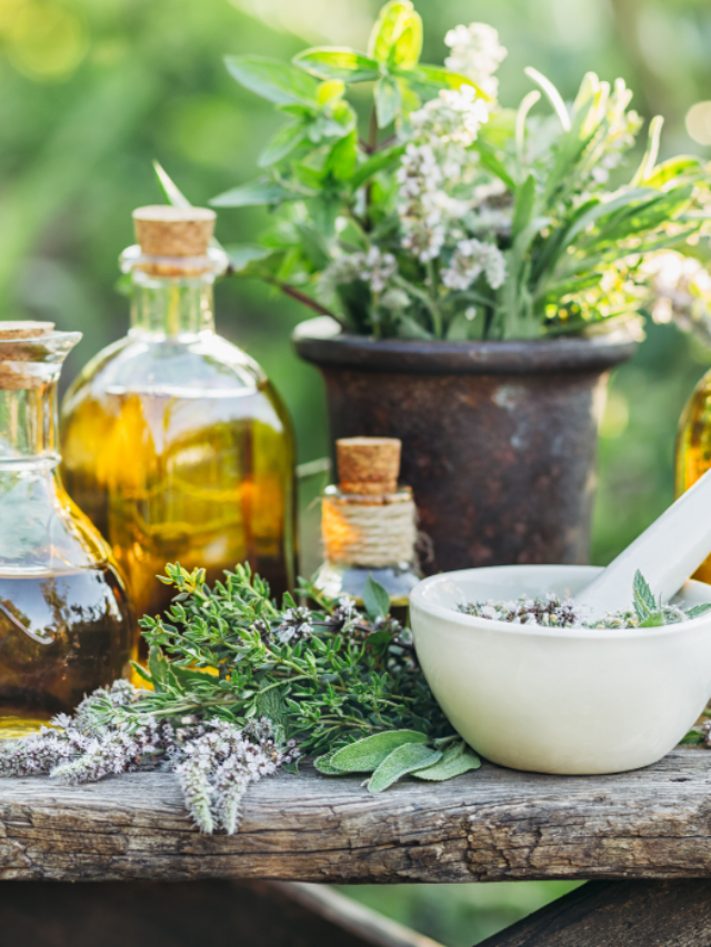 Types of Herbs
